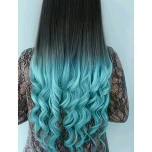 Meet your Posher, Deisy